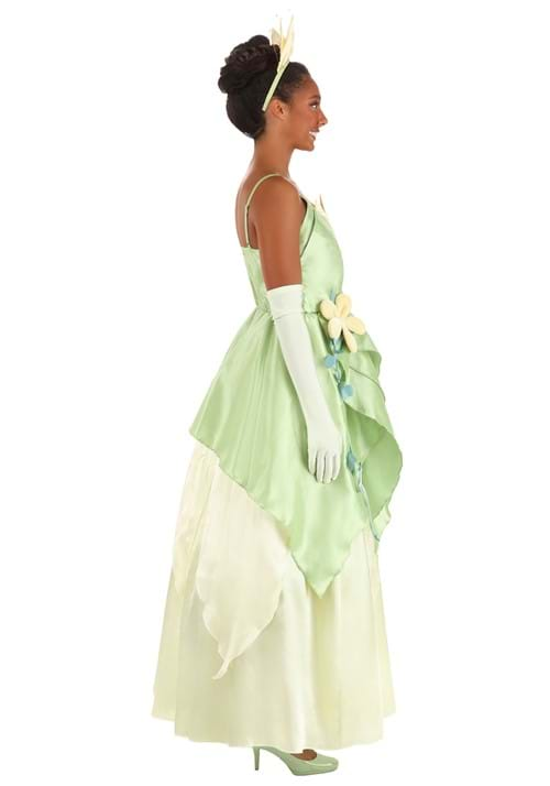 Adult Disney Princess And The Frog Tiana Costume Disney Costumes