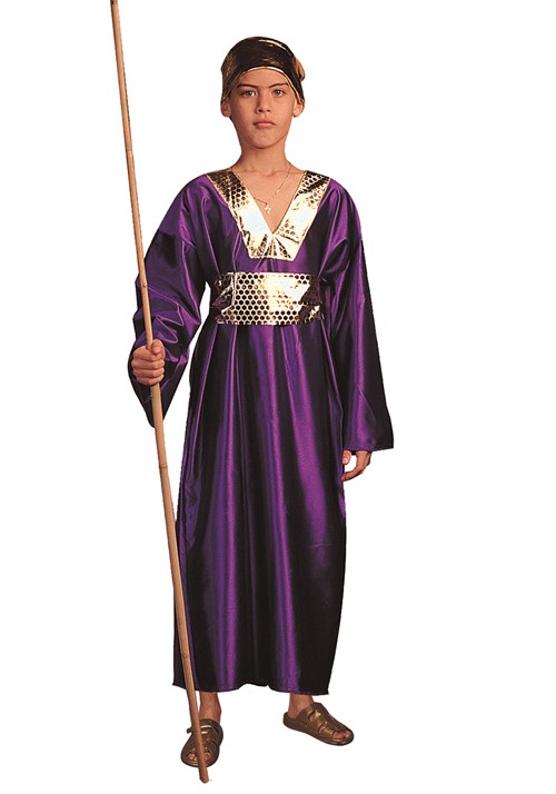 Boys Purple Wiseman Robe Costume
