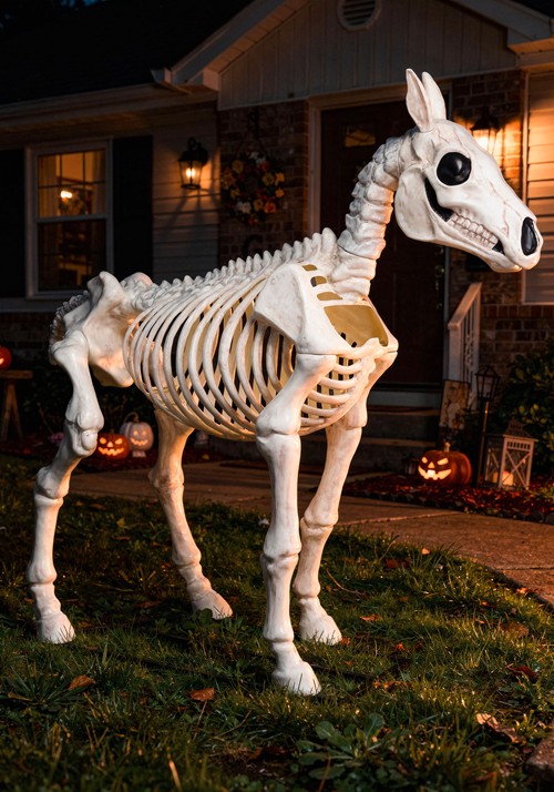 Horse Skeleton Decoration Main 1