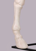 6 ft. Horse Skeleton Decoration Alt 4
