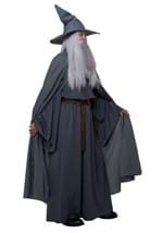 Mens Plus Size Wandering Wizard Costume Alt 4