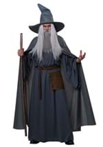 Men's Wandering Wizard Costume