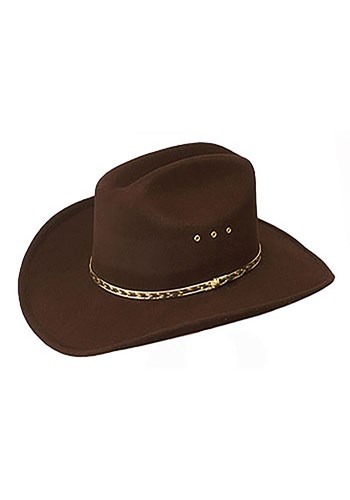 Brown Cowboy Hat