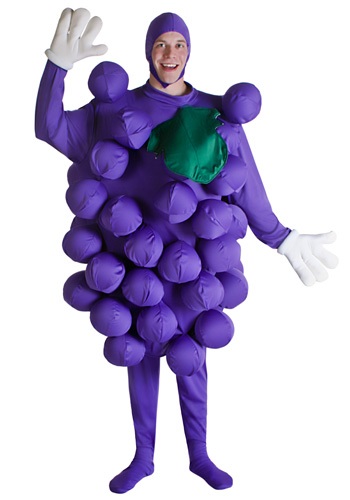 Click Here to buy Purple Grapes Costume from HalloweenCostumes, CDN Funds & Shipping