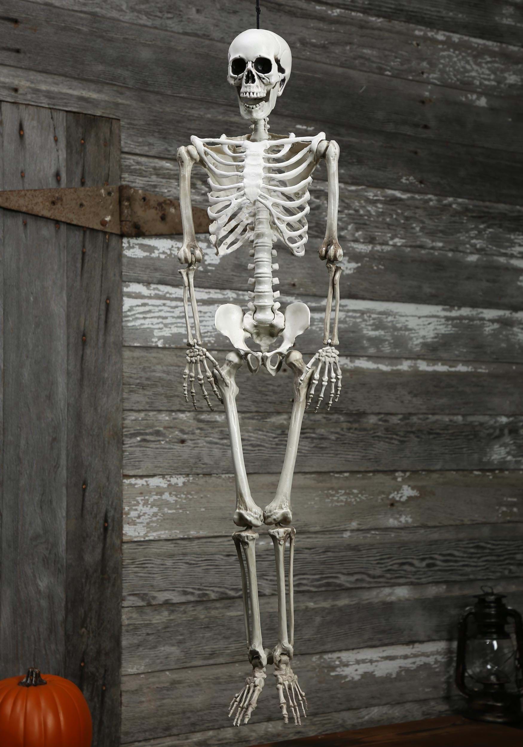 36-Inch Plastic Realistic Skeleton Halloween Prop