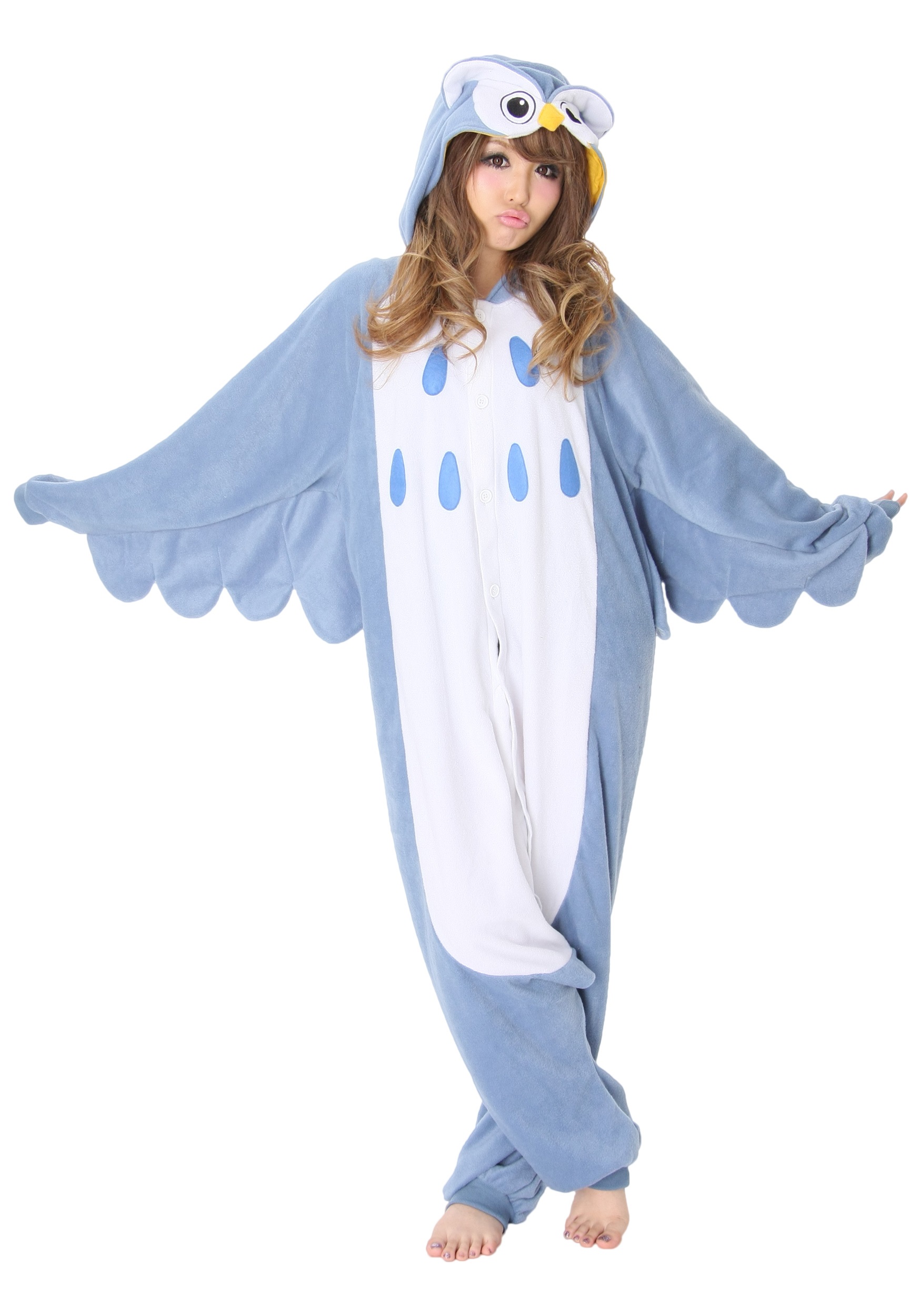 https://images.halloweencostumes.ca/products/12322/1-1/owl-pajama-costume.jpg