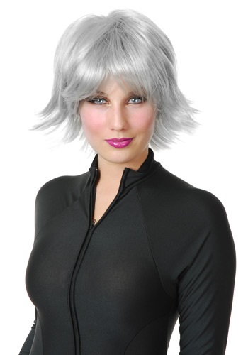 Click Here to buy Silver Superhero Wig from HalloweenCostumes, CDN Funds & Shipping