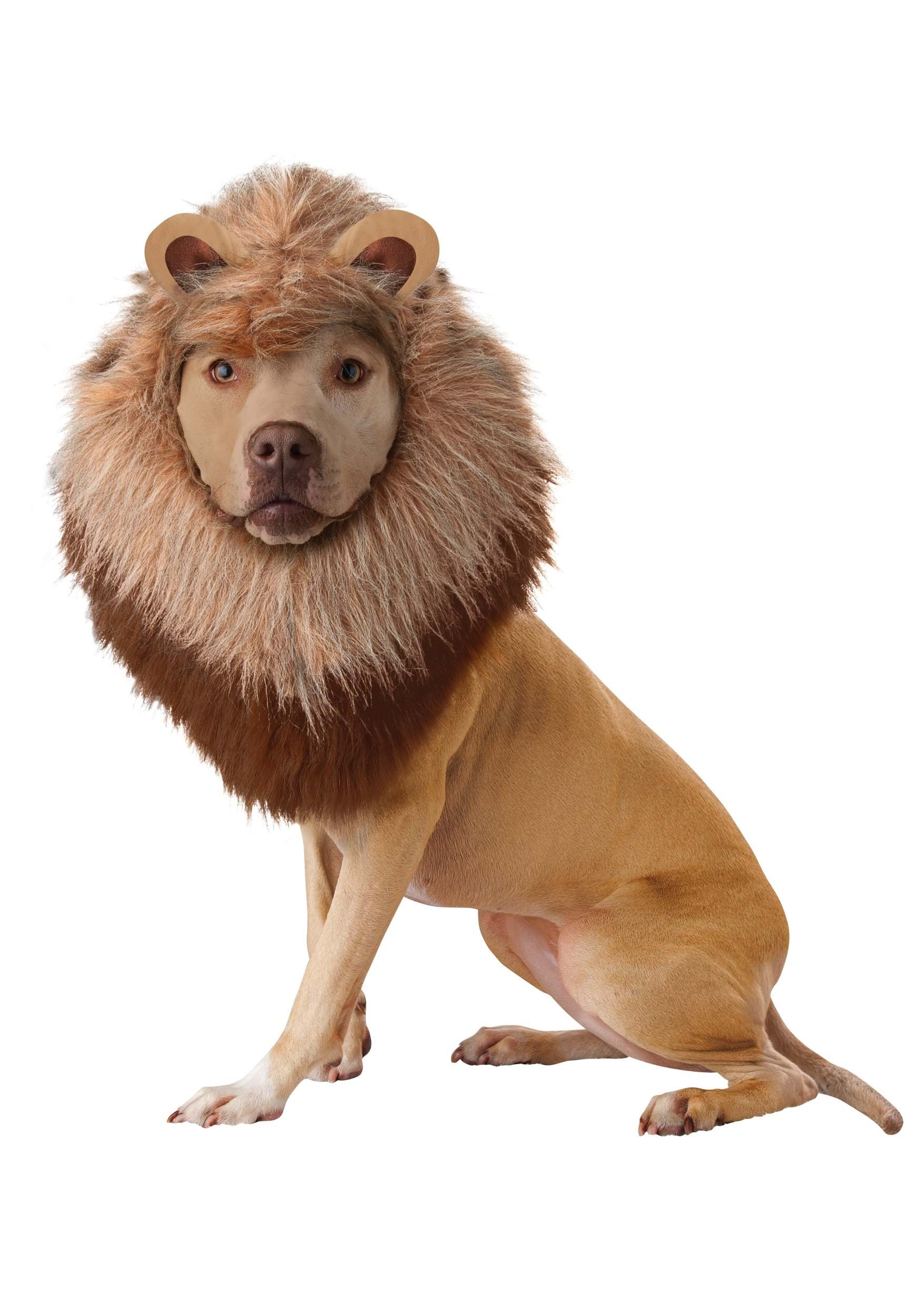 Brown Pet Lion Costume | Halloween Pet Costumes