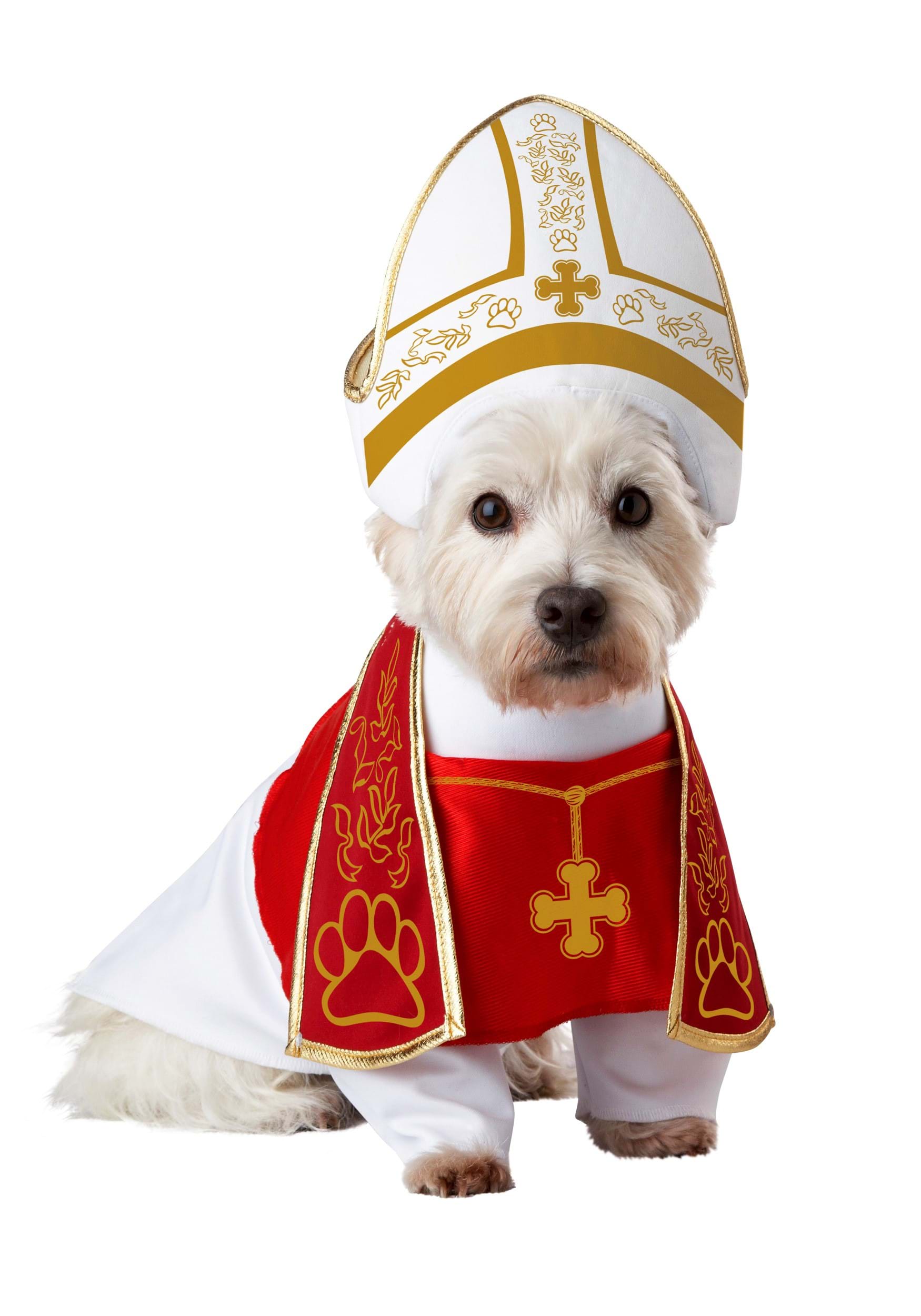 Pet Holy Hound Dog Costume