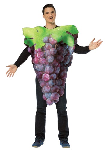 Purple Grapes Adult Size Costume