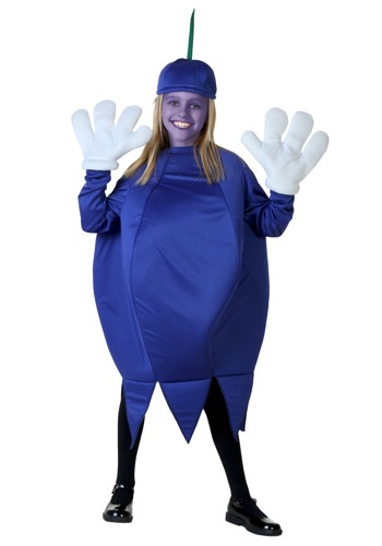 Click Here to buy Kids Blueberry Costume from HalloweenCostumes, CDN Funds & Shipping