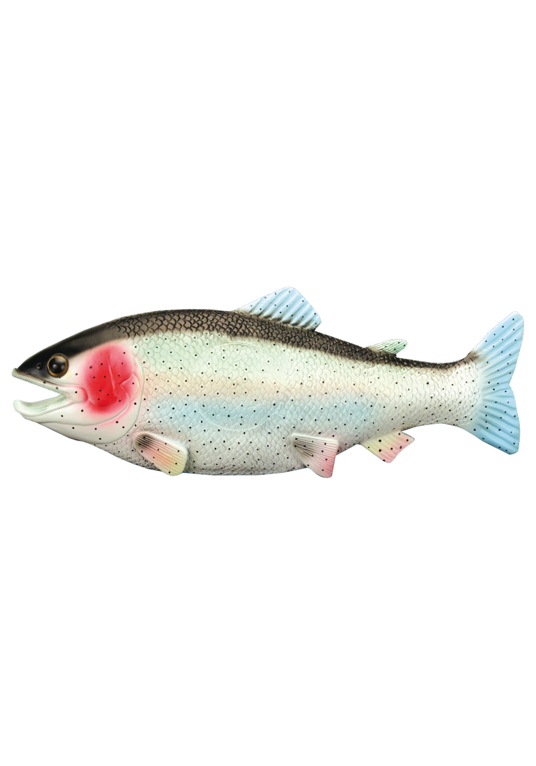 https://images.halloweencostumes.ca/products/16532/1-1/rubber-fish-prop.jpg