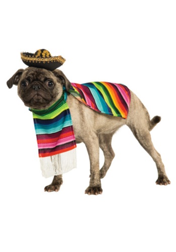Click Here to buy Mexican Serape Pet Costume from HalloweenCostumes, CDN Funds & Shipping