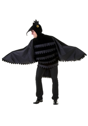 Click Here to buy Adult Raven/Crow Costume from HalloweenCostumes, CDN Funds & Shipping