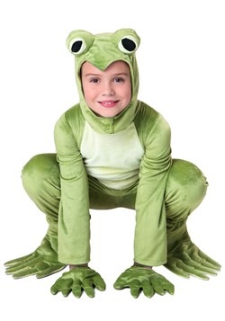 Kid's Deluxe Frog Costume