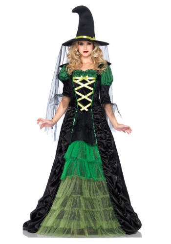 Click Here to buy Adult Storybook Witch Costume from HalloweenCostumes, CDN Funds & Shipping