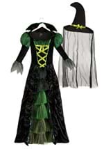 Adult Storybook Witch Costume