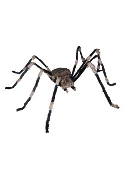 Giant Spider
