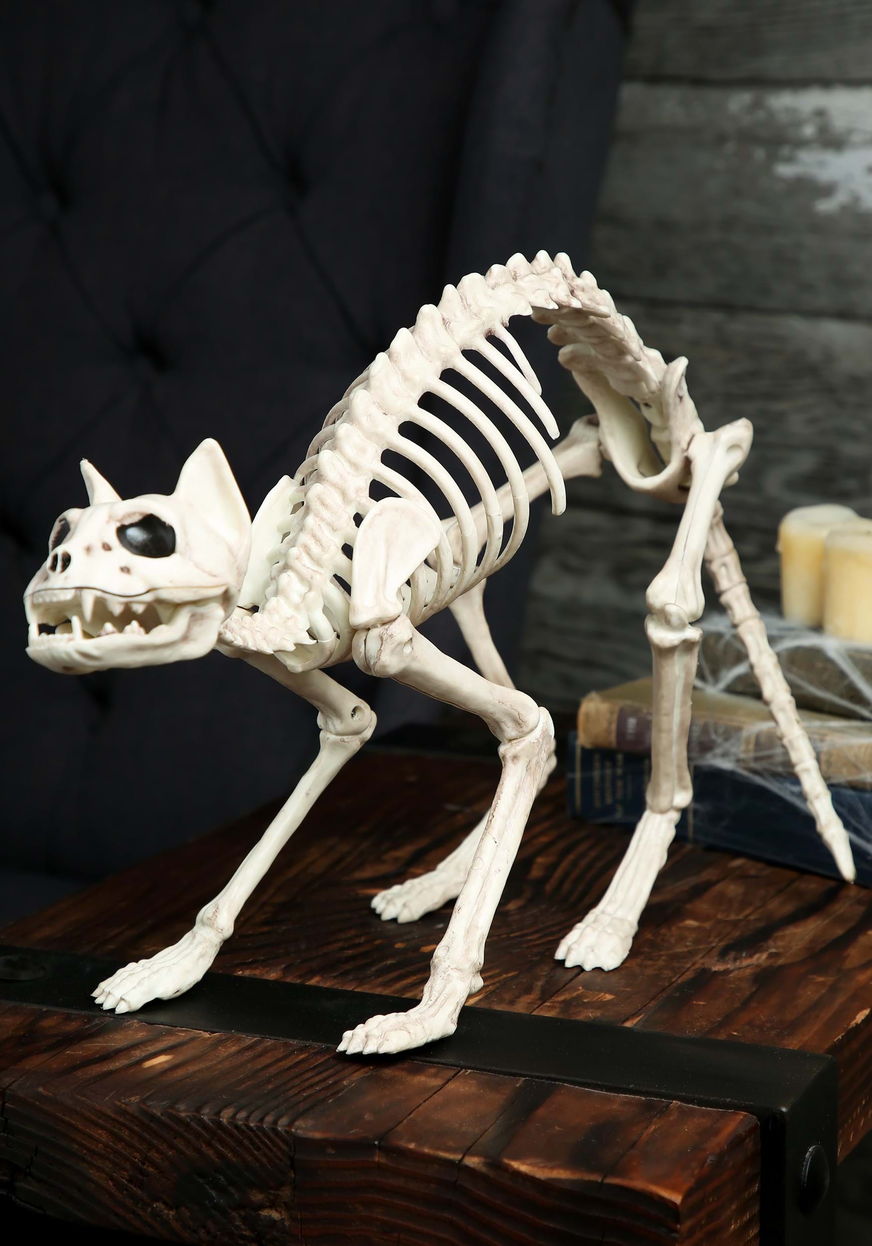 Skeleton Cat Decoration  Halloween Animal Skeleton Prop
