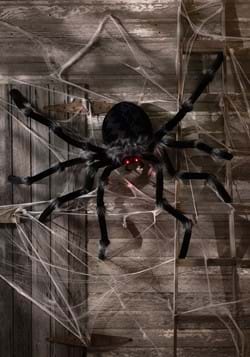 Huge Spider With Light Up Eyes
