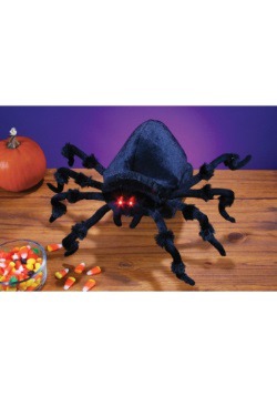 Animated Jumping Spider