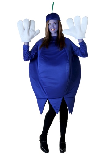 Plus Size Blueberry Adult Size Costume