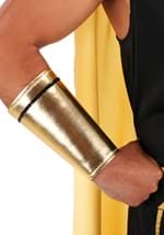 King of Egypt Costume Alt 7