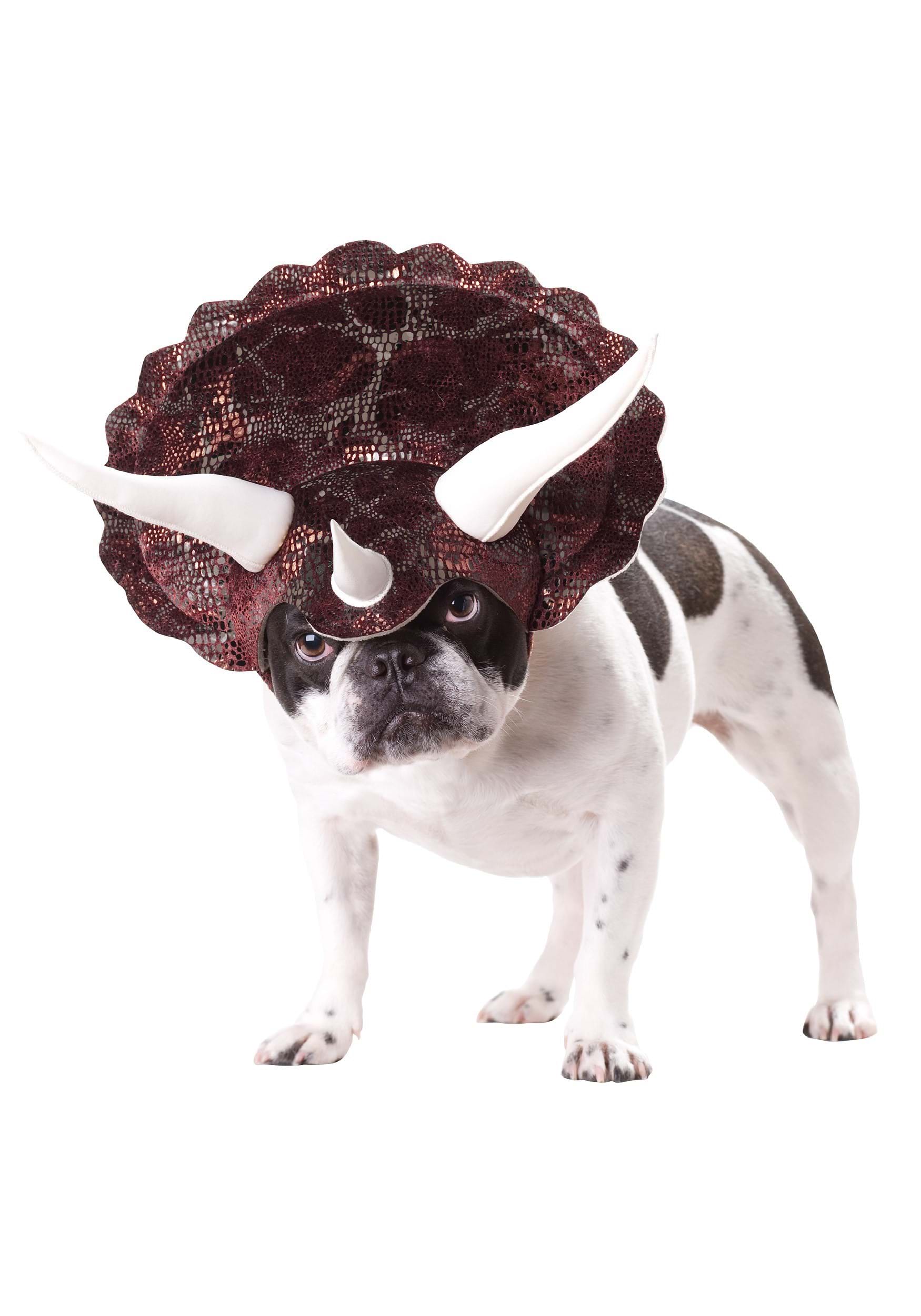 Dog Triceratops Costume