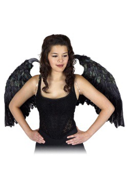 Small Maleficent-Inspired Feather Wings