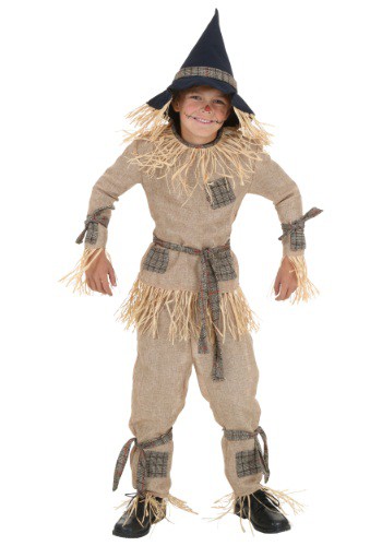 Click Here to buy Kids Silly Scarecrow Costume from HalloweenCostumes, CDN Funds & Shipping