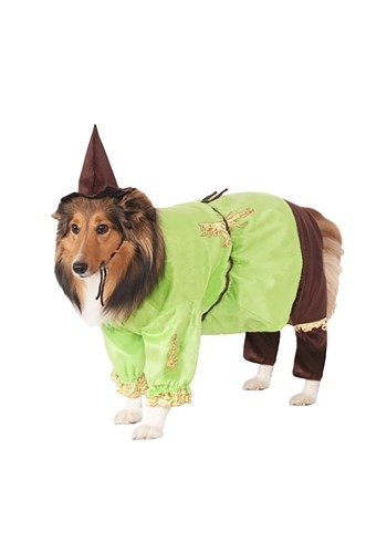 Click Here to buy Scarecrow Pet Costume from HalloweenCostumes, CDN Funds & Shipping