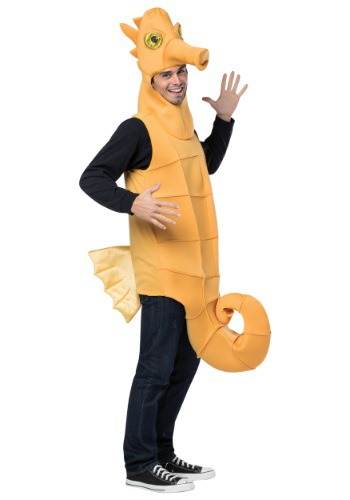 Click Here to buy Adult Seahorse Costume from HalloweenCostumes, CDN Funds & Shipping