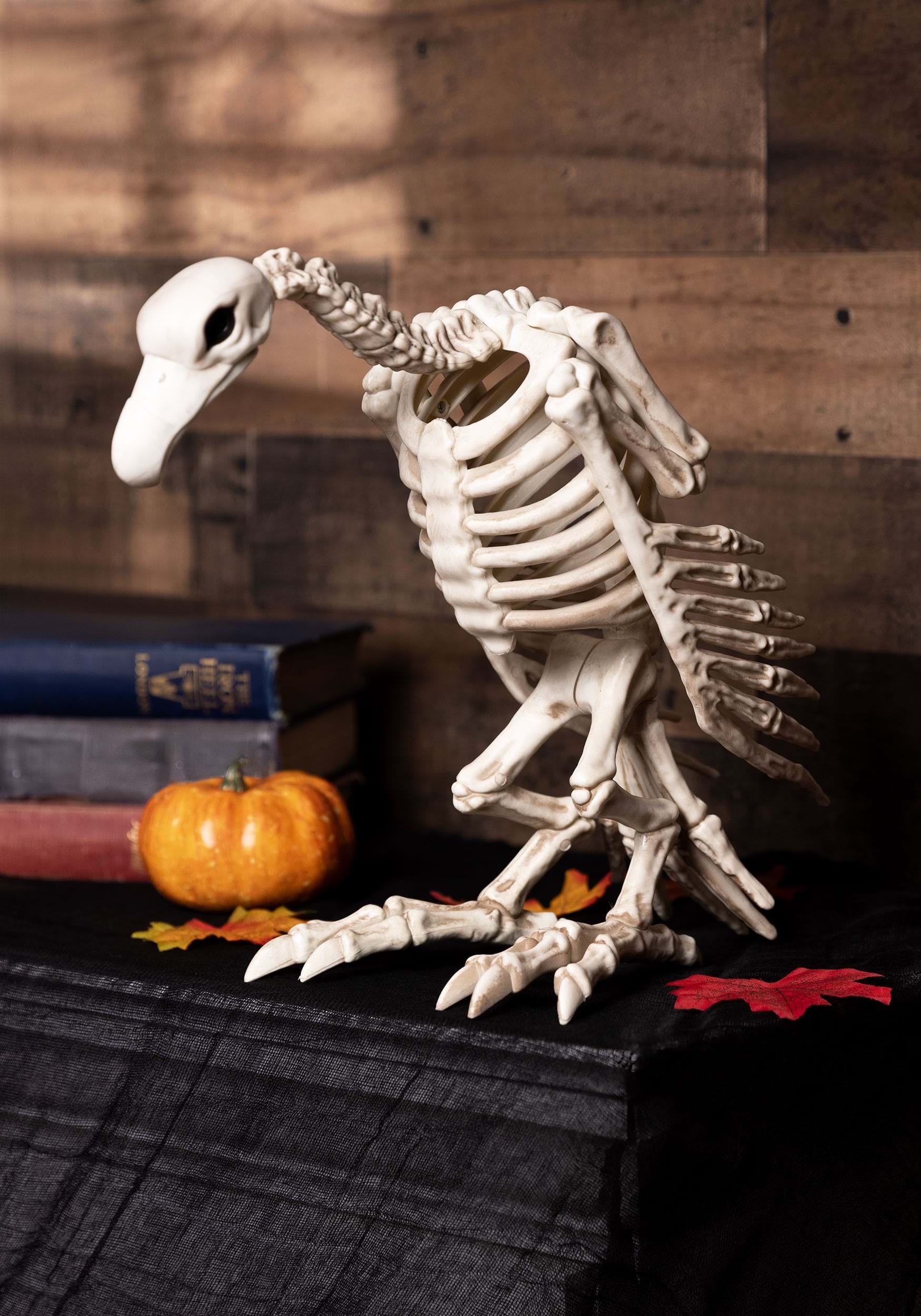 14 Inch Skeleton Vulture , Animal Skeleton Decorations