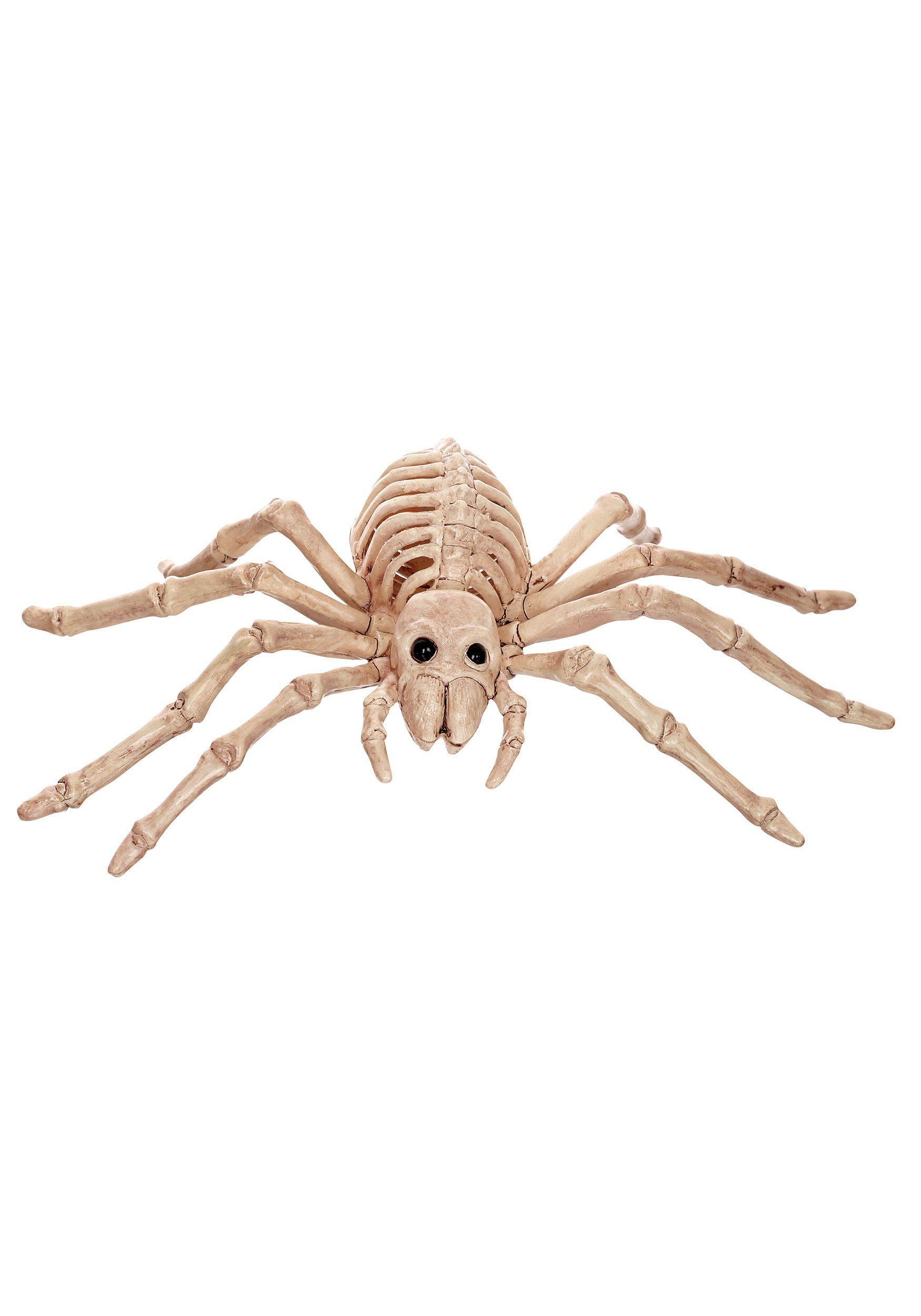 Mini Skeleton Spider Prop