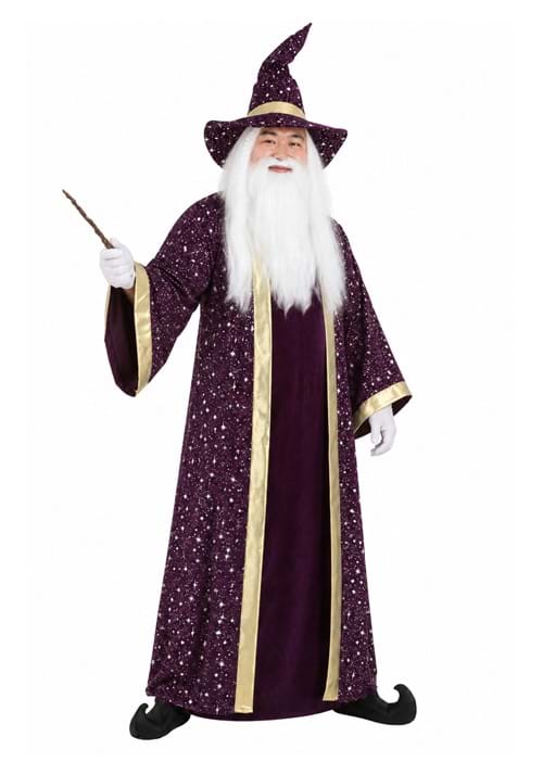 Plus Size Wizard Costume UPD Main 1