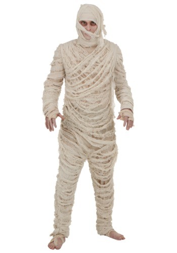 Men's Mummy Costume