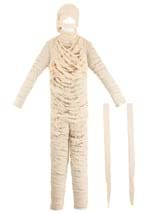 Men's Mummy Costume