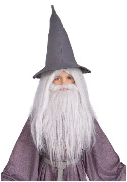 Adult Gandalf Beard and Wig Set