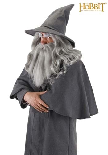 Click Here to buy Gandalf Hat from HalloweenCostumes, CDN Funds & Shipping