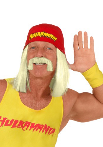 Click Here to buy WWE Hulk Hogan Wig from HalloweenCostumes, CDN Funds & Shipping