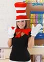 Adult Cat in the Hat Accessory Costume Kit