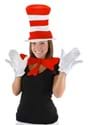 Storybook Cat in the Hat Accessory Kit Alt 1