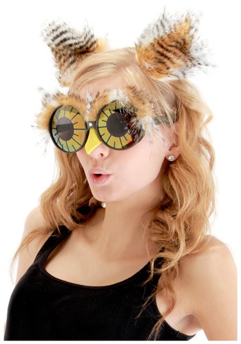 Click Here to buy Owl Ears and Glasses from HalloweenCostumes, CDN Funds & Shipping
