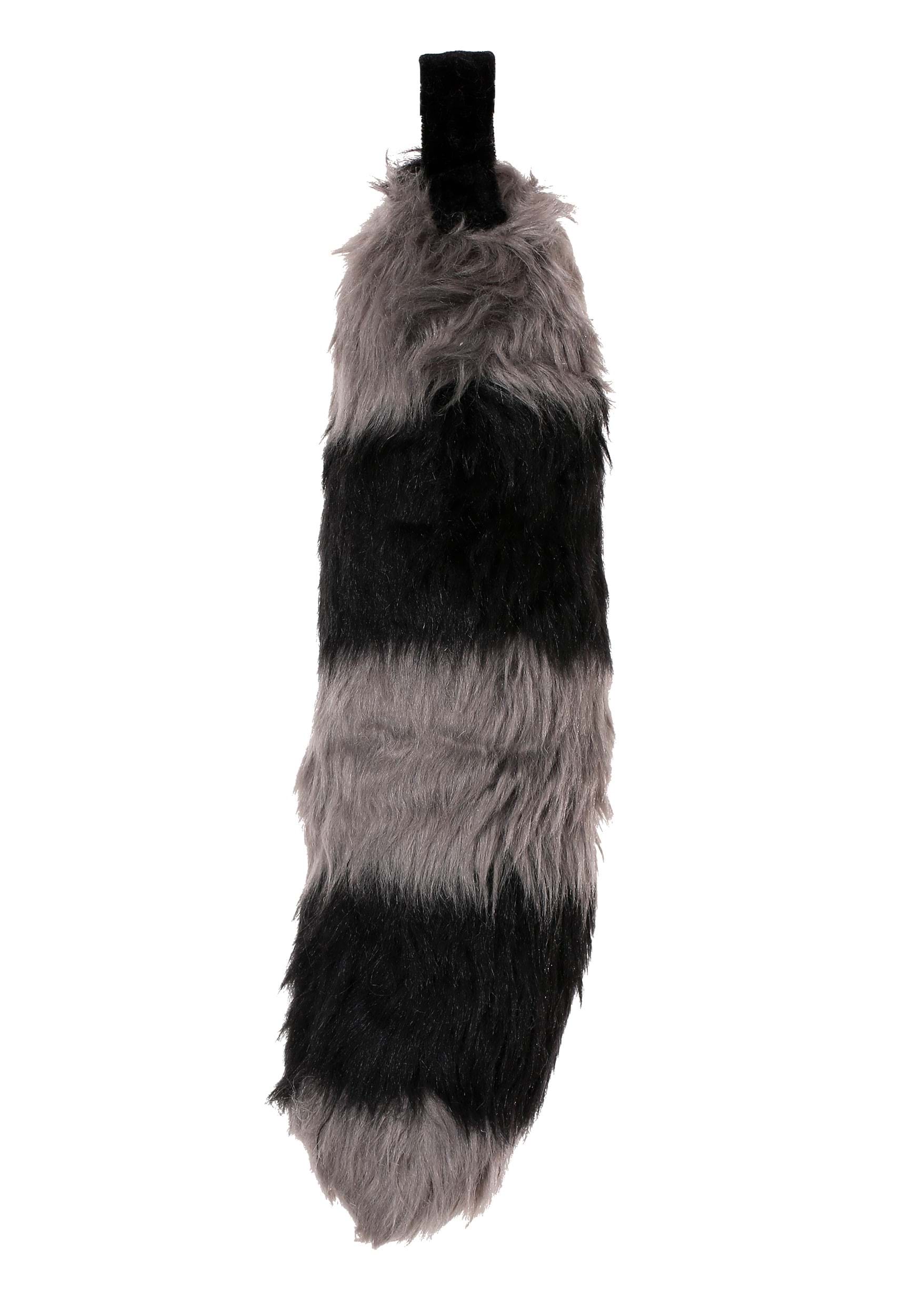 Raccoon Ears And Tail Set