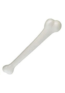Jumbo Cave Bone
