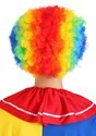 Jumbo Rainbow Clown Wig