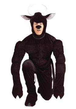 Toro the Terri-Bull Costume