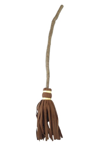 Click Here to buy Kids Witch Broom from HalloweenCostumes, CDN Funds & Shipping