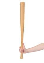 CHILD BASEBALL BAT Alt 1