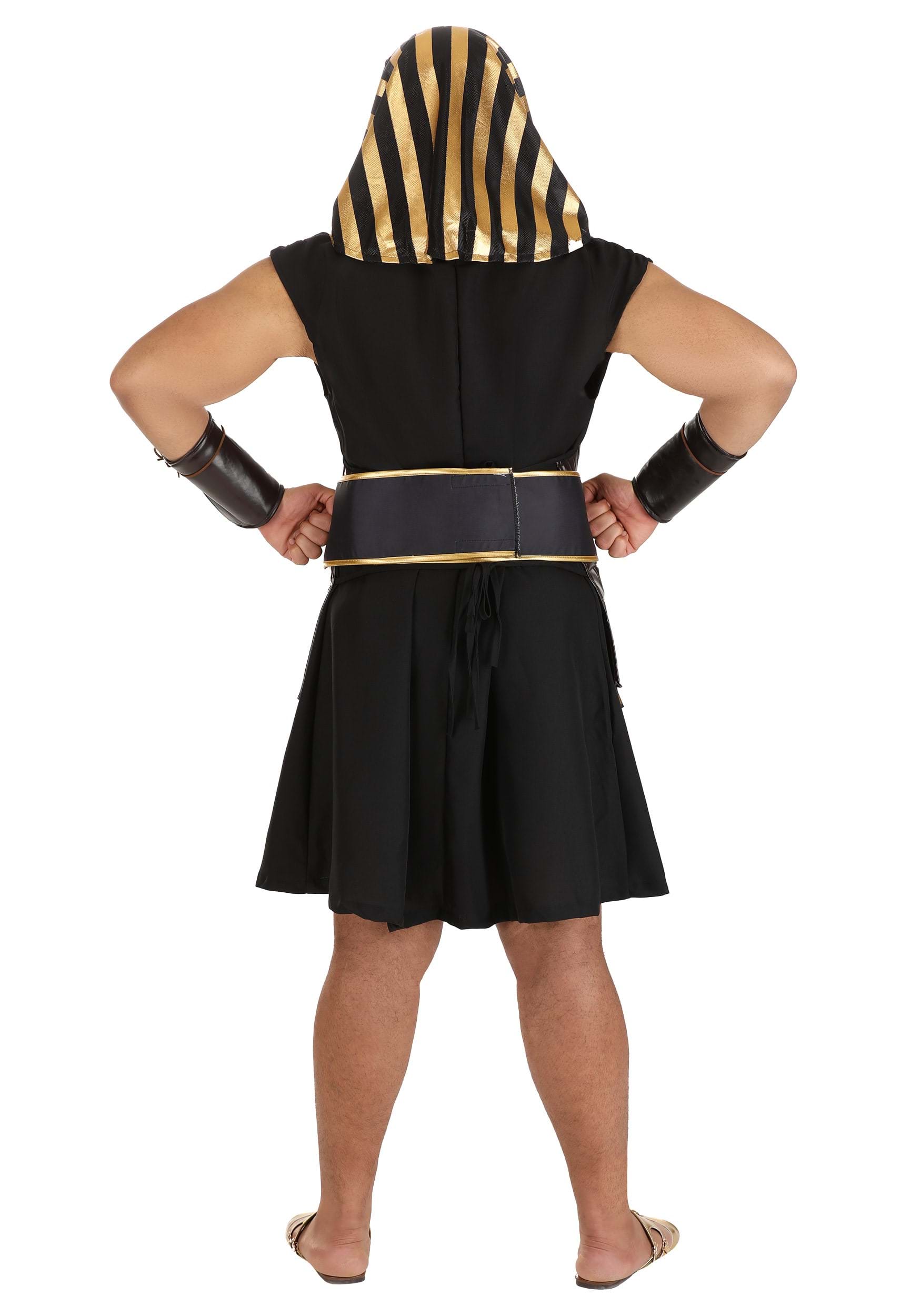 Adult Plus Size Ancient Pharaoh Costume , Egyptian Costumes